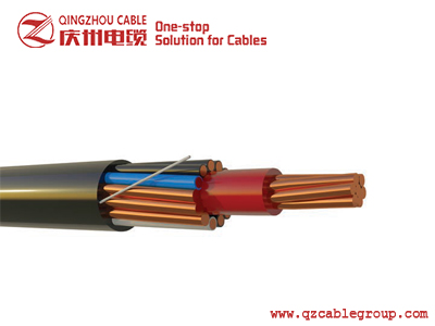 SERVICE ENTRANCE CONCENTRIC CABLE-AFRICA
