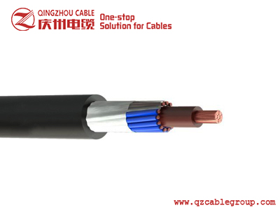 Concentric and Split Concentric Cables-BS