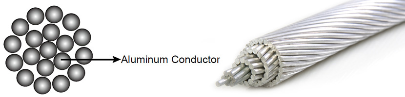 AAC Conductor ASTM B 231/B 231M  CSA C49