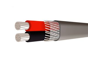 ANTI-FRAUD COPPER ALUMINUM- SEU SER