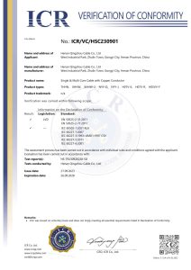 CE — Verification of Conformity