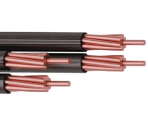 NF2X — Aerial Bundled Twisted Cable