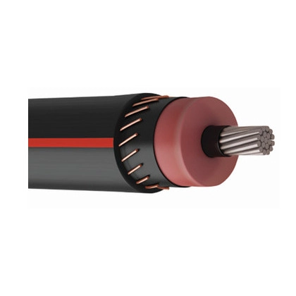 Primary UD
