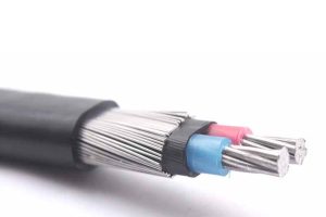 SERVICE ENTRANCE CONCENTRIC CABLE-DOMINICAN